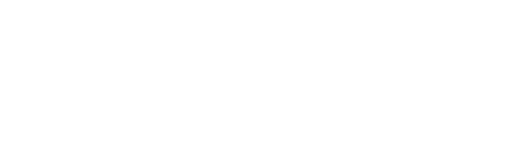 piccirillo brothers logo in white